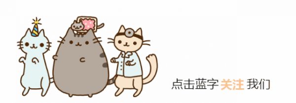 最萌宠物十大排名，十大宠物猫排名（仙女猫名字）
