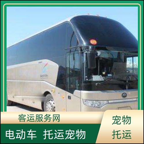 泰州到北海汽车票的客车班次查询表（路线+票价）宠物托运