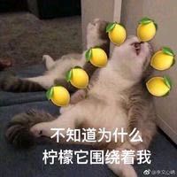 微信图片_20190511131856.jpg