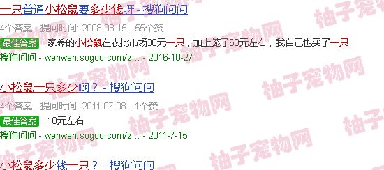 一只小松鼠多少元