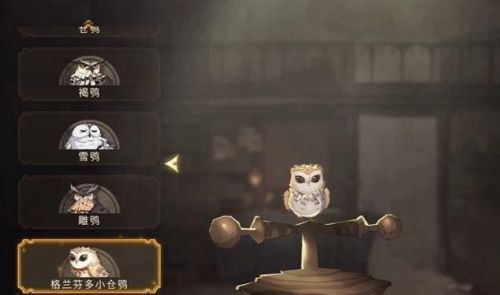 哈利波特魔法觉醒宠物获取攻略