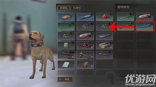 明日之后宠物背包物品怎么操作 明日之后宠物背包物品怎么取