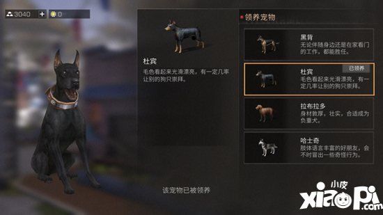 明日之后宠物性格养成攻略 宠物性格哪个好