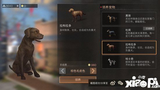 明日之后宠物性格养成攻略 宠物性格哪个好