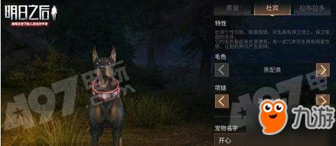 明日之后宠物狗怎么选攻略 明日之后全宠物狗属性作用分析/选哪个最好