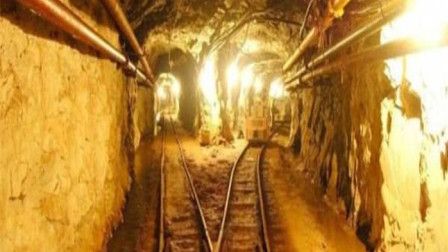 宠物在家赚钱秘籍，7种方法让你的宠物也能成为小金矿