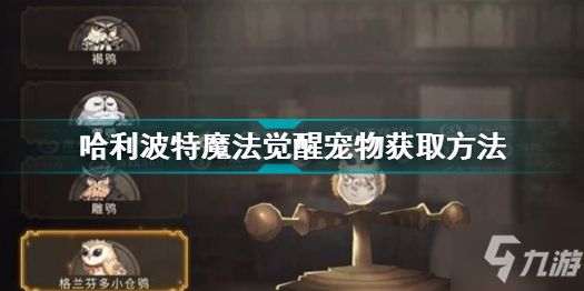 哈利波特魔法觉醒宠物怎么获得 哈利波特魔法觉醒宠物获得方法