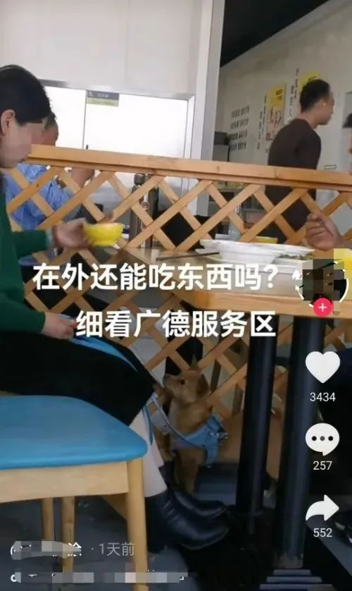 顾客用饭碗喂狗！知名餐饮回应