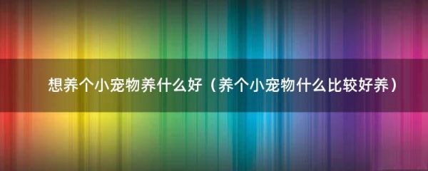 想养个小宠物养什么好（养个小宠物什么比较好养）