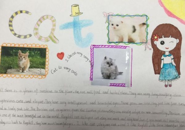 关于猫的手抄报ilovecatpaperhandwriting