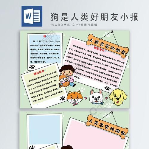 关于宠物须知的手抄报手抄报简单又漂亮