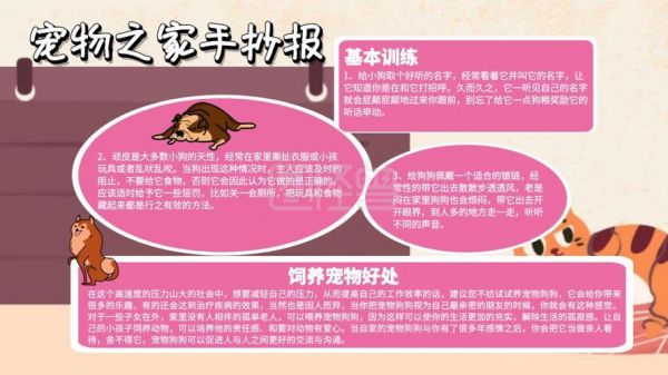 关于宠物须知的手抄报手抄报简单又漂亮