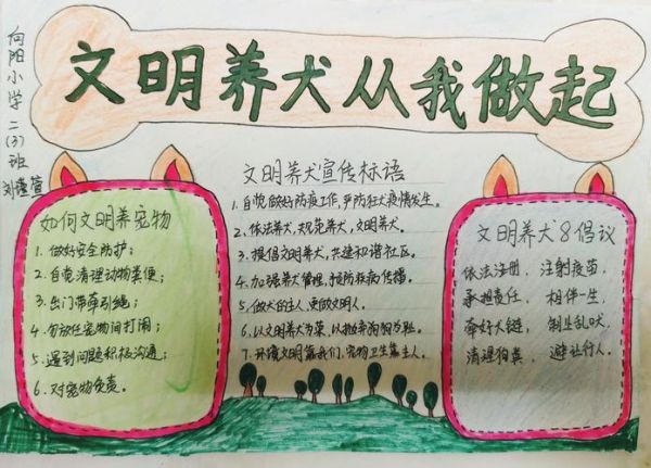 红旗区向阳小学二三中队开展文明养犬 从我做起手抄报展示活动