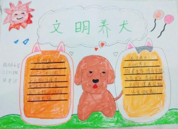 红旗区向阳小学二三中队开展文明养犬 从我做起手抄报展示活动