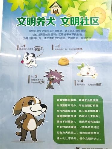 二年级手抄报狗文明养狗的手抄报 文明手抄报养宠物的安全小知识手