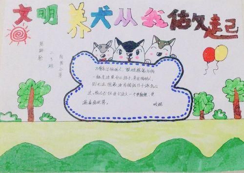 宠物怎么喂养手抄报怎么画手抄报