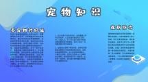 养宠物知识手抄报小报学生作业动物