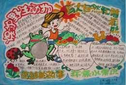 关于爱动物的手抄报 关于生物的手抄报