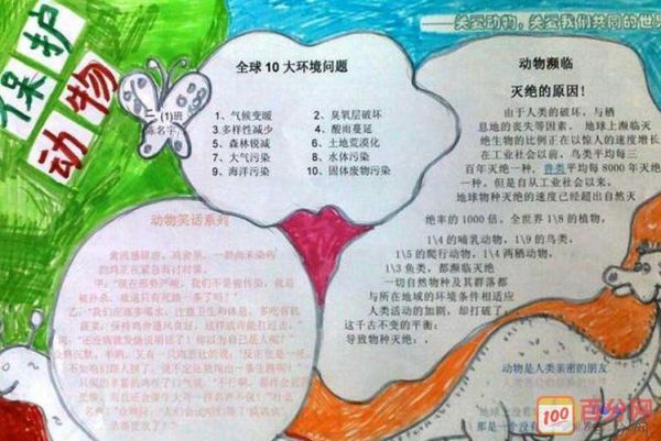 制作动物主题手抄报就是为了引导大家 爱护动物.下面是百分网小编
