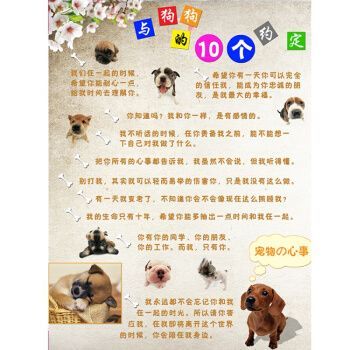 简单画宠物店里的小动物手抄报 动物手抄报
