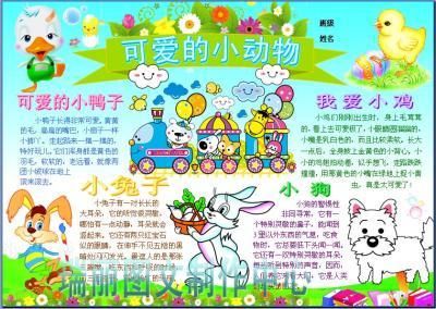 饲养小动物简单的手抄报 简单的手抄报