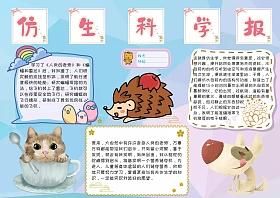 自然科学为主题的手抄报爱为主题的手抄报