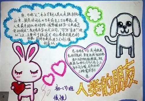 与小动物和谐相处手抄报 和谐手抄报