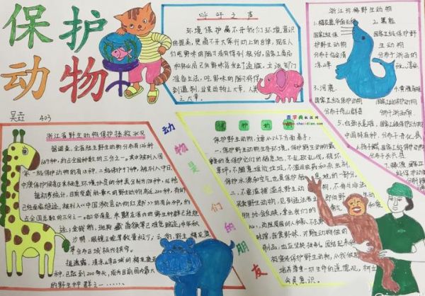 四年级保护动物手抄报设计|四年级保护动物手抄报图片 - 查字典板报网