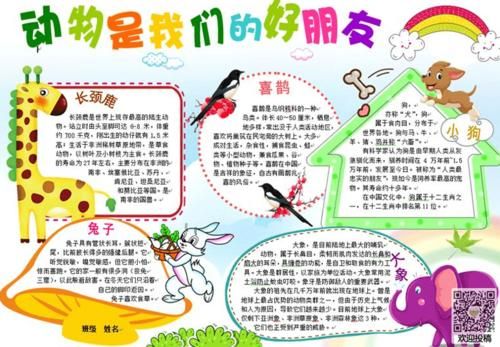 首页 迎国庆手抄报 动物介绍手抄报图片 保护动物手抄报第一名 本文