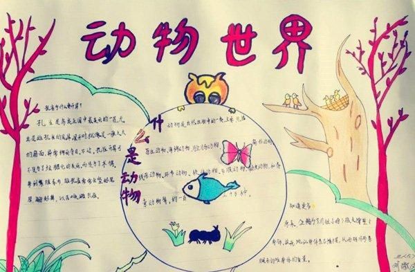 保护动物手抄报动物世界画画手抄报零二七艺考