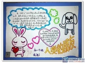 2017元宵节校园手抄报-动物手抄报图片大全-关于动物的手抄报图片大全