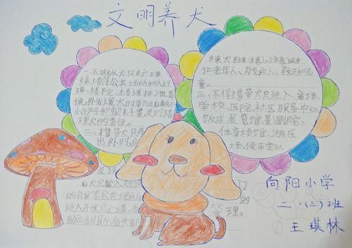 一年级文明养犬知与行手抄报一年级文明手抄报