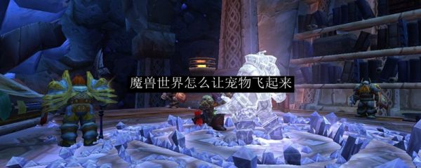 魔兽世界怎么让宠物飞起来
