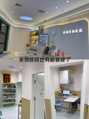 溪湖宠物医院也有新装修了