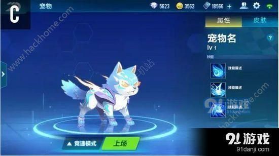 QQ飞车手游宠物皮肤怎么获得 宠物皮肤获取方法图片1_嗨客手机站