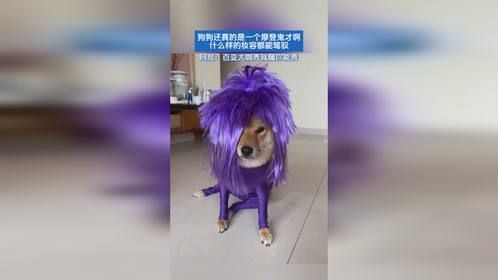 狗狗还真的是一个摩登鬼才啊，什么样的妆容都能驾驭