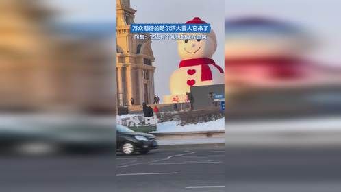 万众期待的哈尔滨大雪人它来了。网友：它还有个礼貌的迎宾微笑