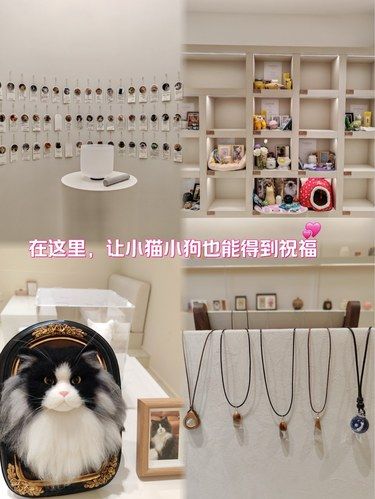 让毛孩子也他们自己的体面和尊重～㊗️福‼️