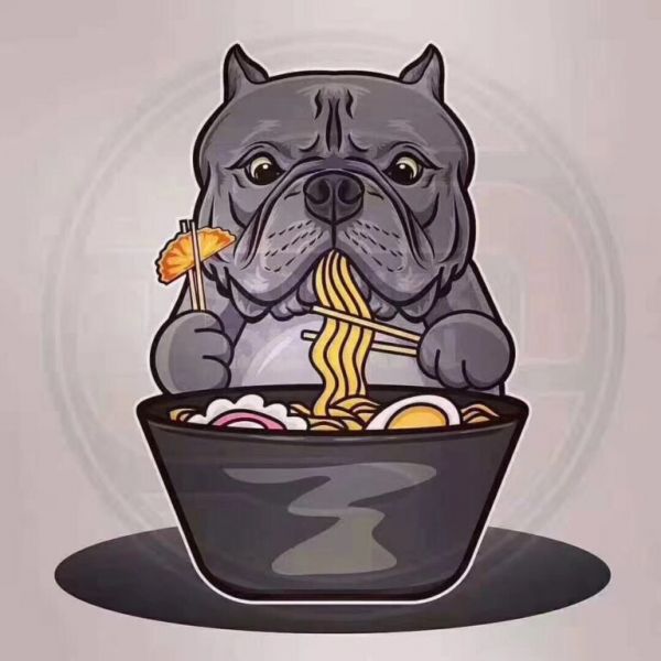 恶霸犬号称犬界“爱马仕”，价格为何这么贵？它到底哪里吸引人？