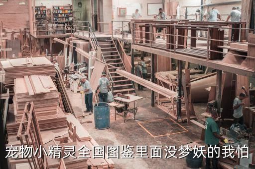 宠物小精灵全国图鉴里面没梦妖的我怕