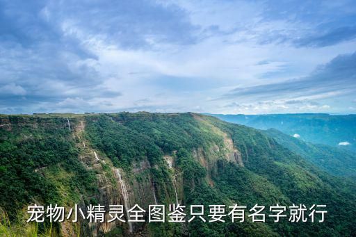 宠物小精灵全图鉴只要有名字就行