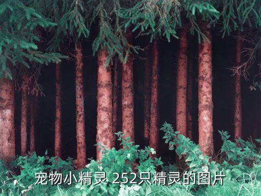 宠物小精灵 252只精灵的图片