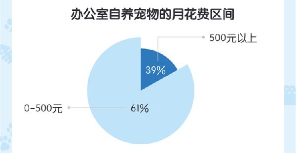 办公室宠物报告