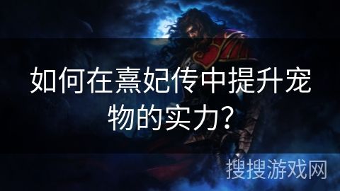 如何在熹妃传中提升宠物的实力？