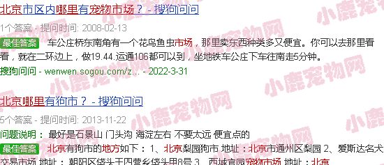 北京宠物市场在什么地方