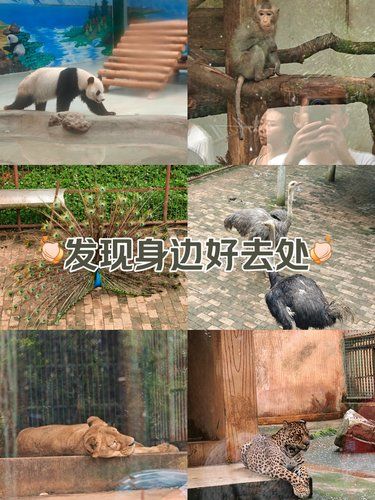 柳州动物园