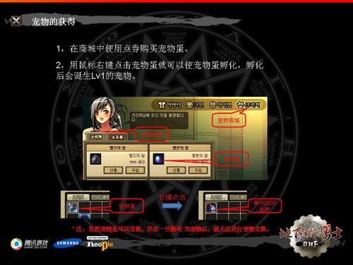 [前瞻]国服前瞻：解析DNF韩服宠物系统