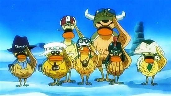 走在路上捡宠物！海贼王中会打架的萌宠