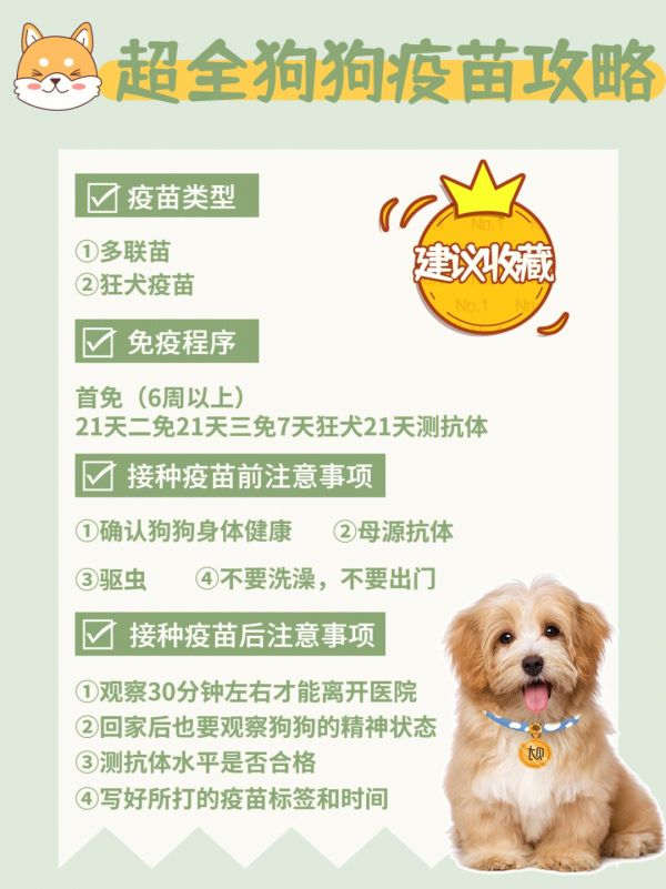 宠物狗疫苗接种全攻略，必备疫苗知识指南