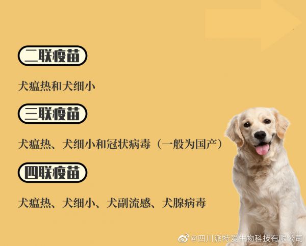 宠物狗疫苗接种全攻略，必备疫苗知识指南